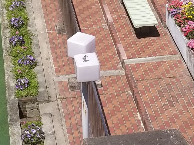 20180521_132521_017.jpg