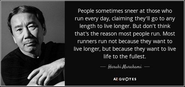 quote-people-sometimes-sneer-at-those-who-run-every-day-claiming-they-ll-go-to-any-length-haruki-murakami-58-86-06.jpg