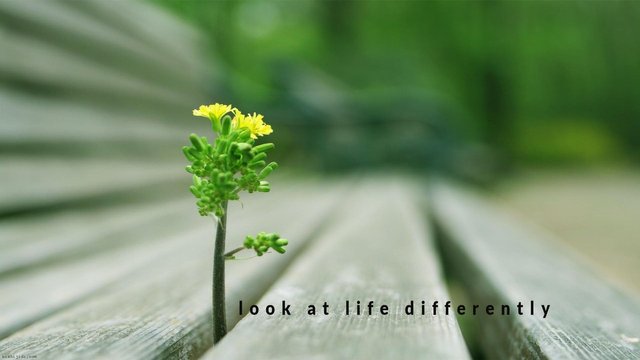 look at life differently.jpg