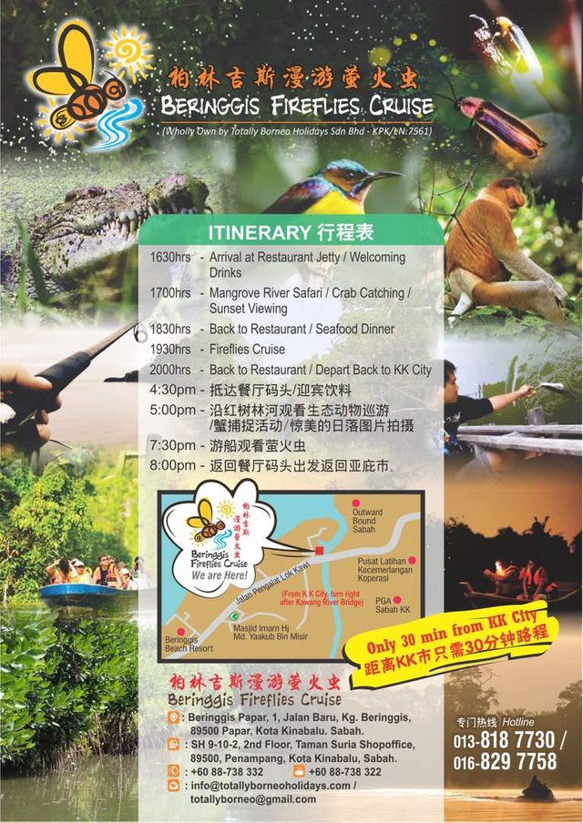 Beringgis Fireflies Cruise Flyer.jpg