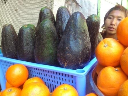 market-yangon-avocado.jpg