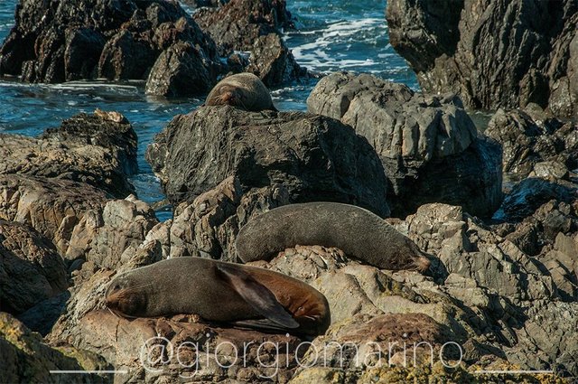 Wellington_002_redRocks_004.jpg