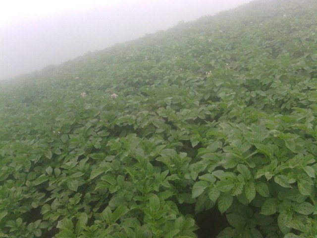 IMG-20171129-WA0001.jpg