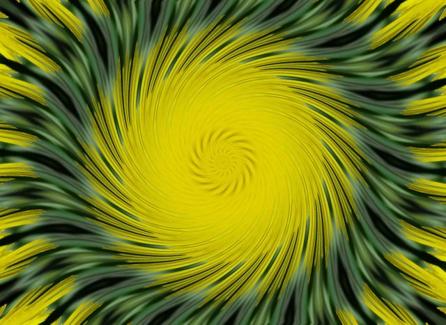 20170614_151723-1_1497655967886.jpg