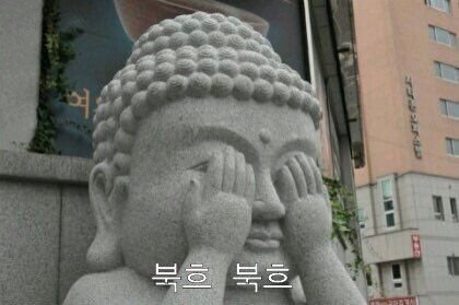 부끄부끄.jpg