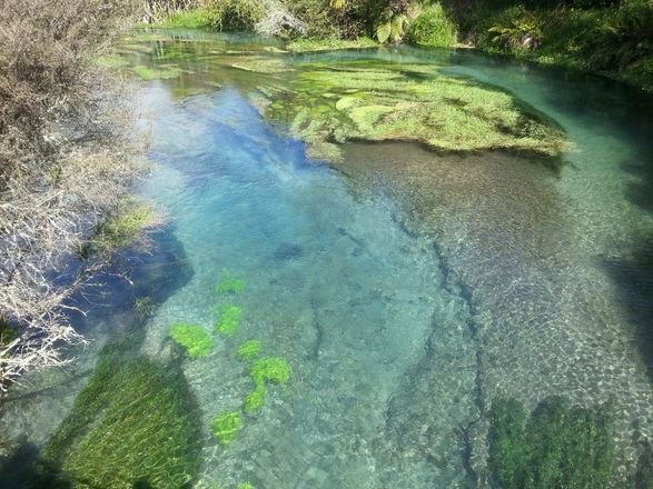 Bluewater springs