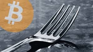 bitcoin fork.jpeg