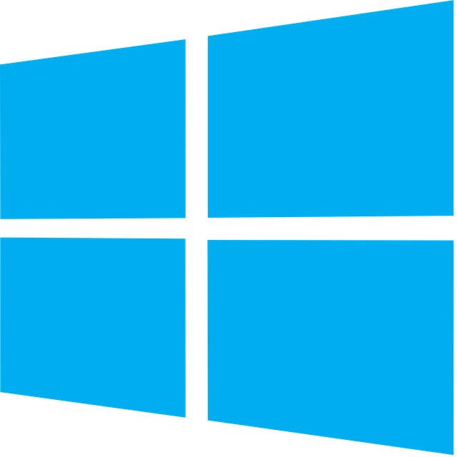 windowsLogo