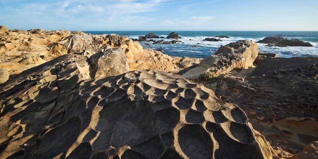 VC_MarineSanctuaries_Module3_SaltPoint_Stock_RF_85467680_1280x640.jpg