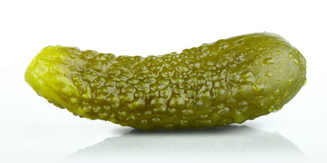 pickle-gate.jpg