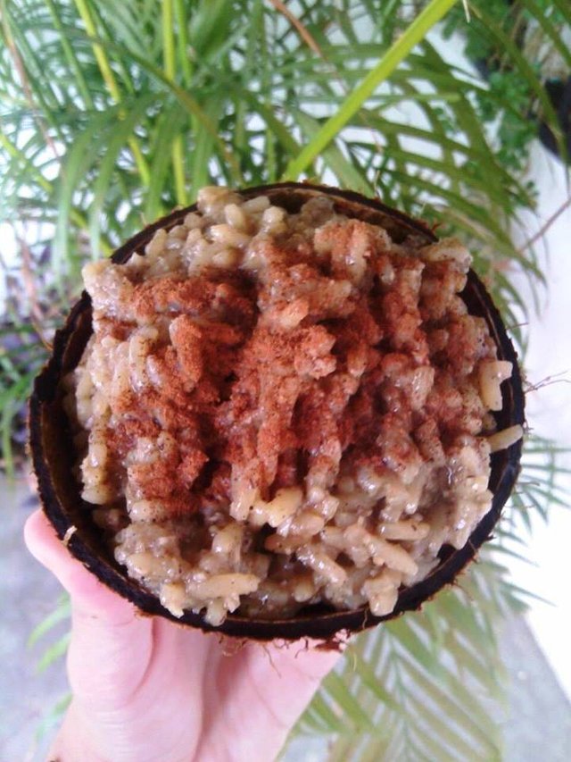 STEEMIT ARROZ CON COCO - copia.jpg