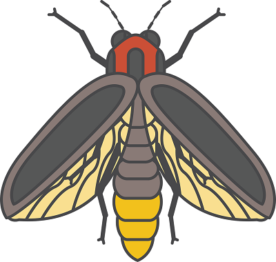 fire-fly-2389844_1280.png