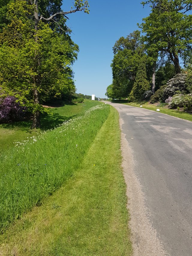 20180507_125119.jpg