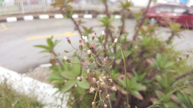 20180314_165437.jpg