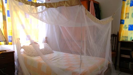 mosquito-net-bed.jpg