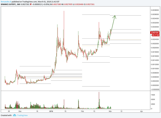 www.tradingview-1.png