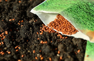 Screenshot-2018-4-13 Sowing Seeds Images · Pixabay · Download Free Pictures.png