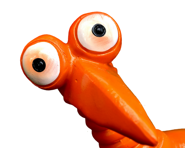 Orange-Feather-Funny-Cute-Weird-Bird-Joker-2667381.png