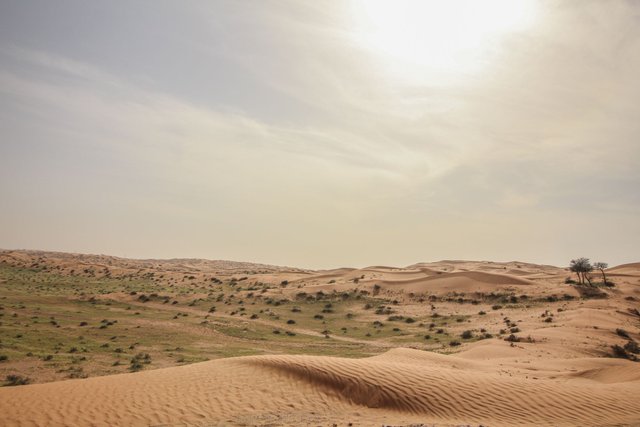 desert-rak-2.jpg