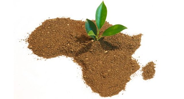 Africa-Map-growth-startups-entrepreneur.jpg