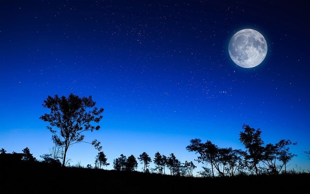 night-moon.jpeg