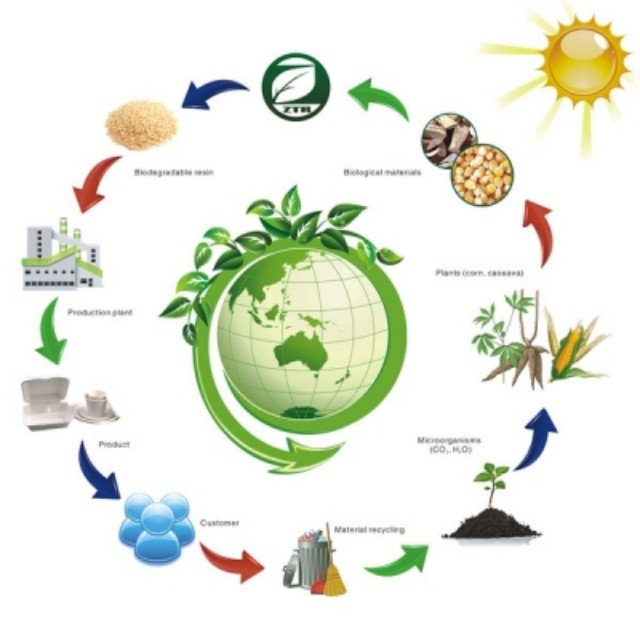 ecological_balance.serendipityThumb-640x617.jpg