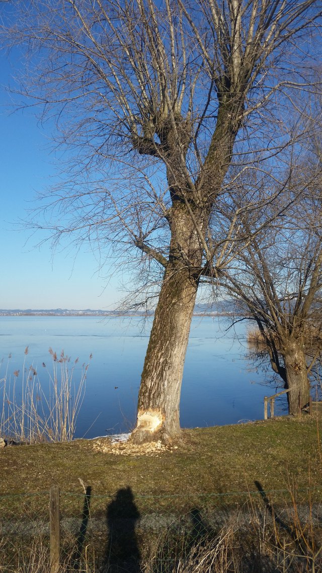 20180214_151840.jpg