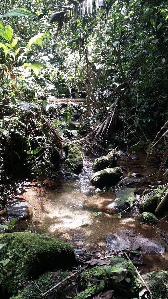 18 - nature water pools travelling through the nature reserve.jpg