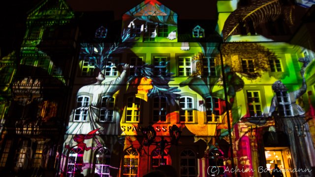 Lichternacht2018Hildesheim-46.jpg