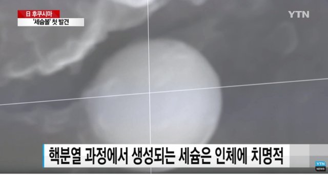 이미지 1174.jpg