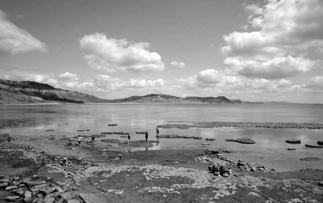 128101489981 - rock pools at lyme regis bw.jpg