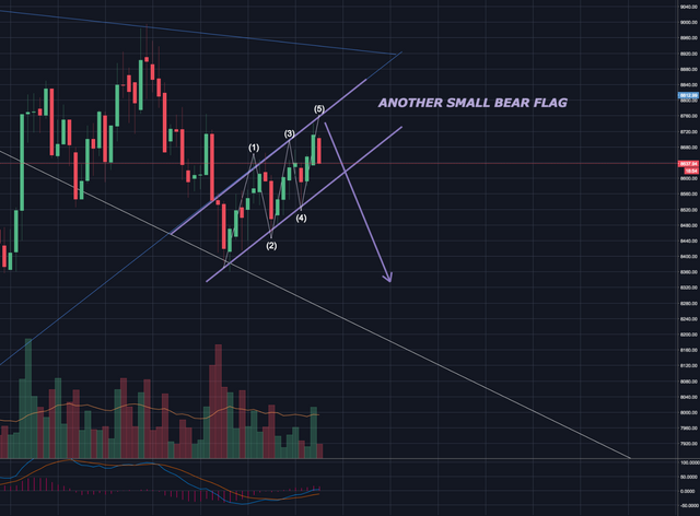 another small bear flag.png