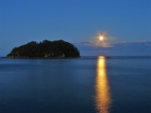 016full moon in tauranga (1-2).jpg