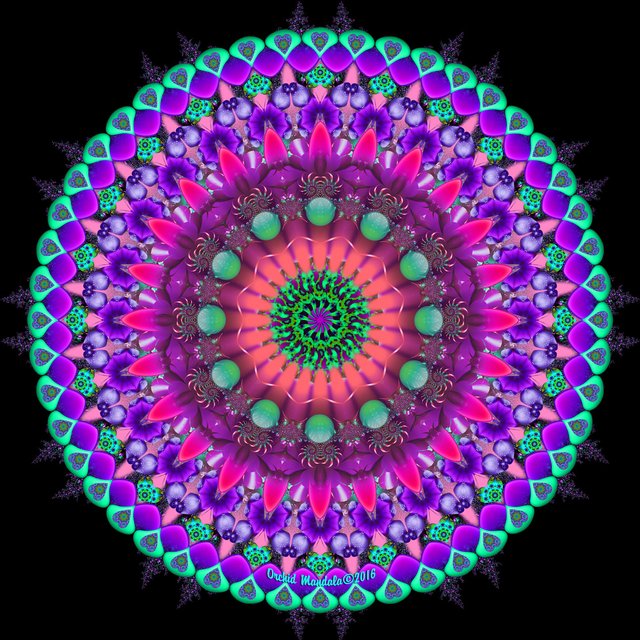 Daily_Focus-01-01-17-B.jpg