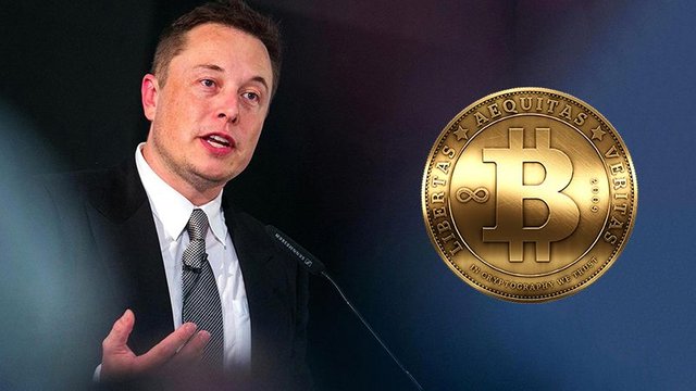 Bitcoin-Elon-Musk-001.jpg