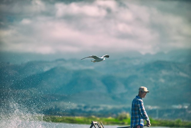 INle201_DSC3869.jpg