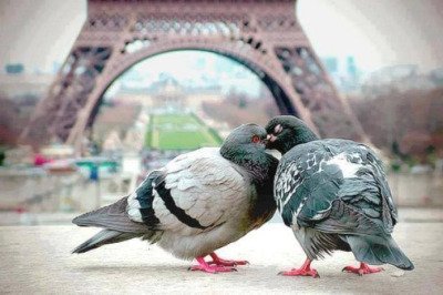 Se dice que París es el lugar del amor… No creí que aplicara en general.jpg