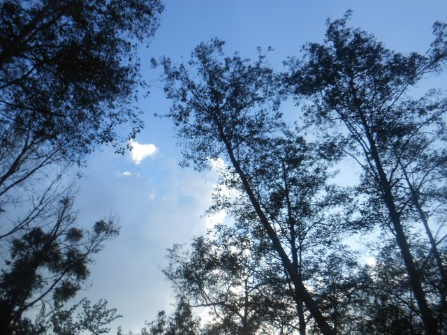DSCN1599.JPG