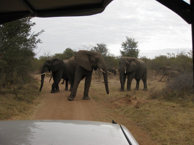 view from the back seat of the open truck.JPG