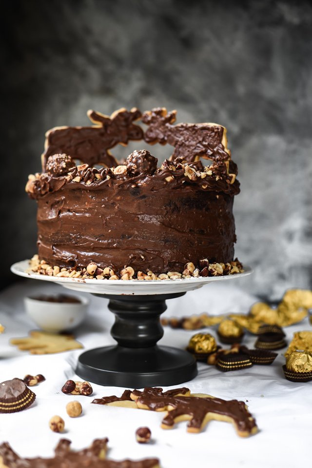 Chocolate Nutella Mousse Moose Cake (4).jpg