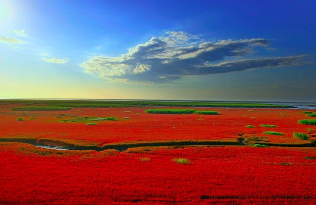 Panjin-Red-Beach-Background.jpg