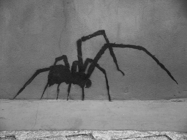 58690905576 - black spider street art near broadway market_1.jpg