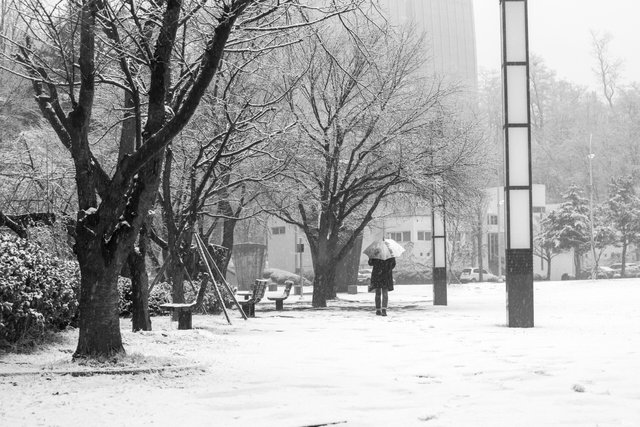 _DSC3055.jpg