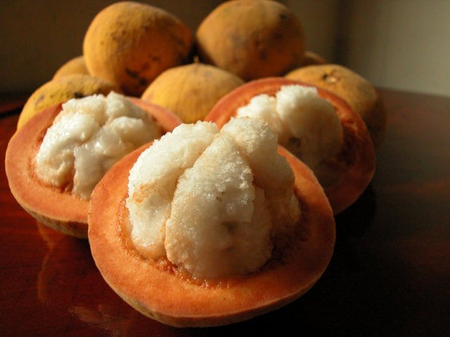 santol-5.JPG