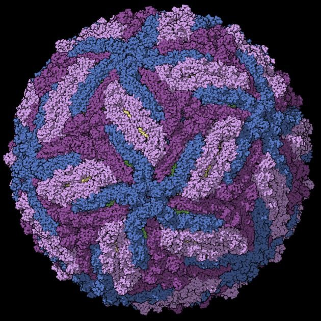 Zika-chain-colored.jpg