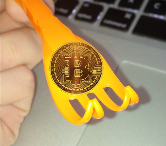 btcfork.jpg