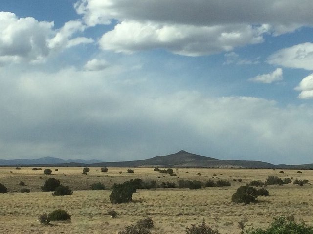 NM landscape.jpg