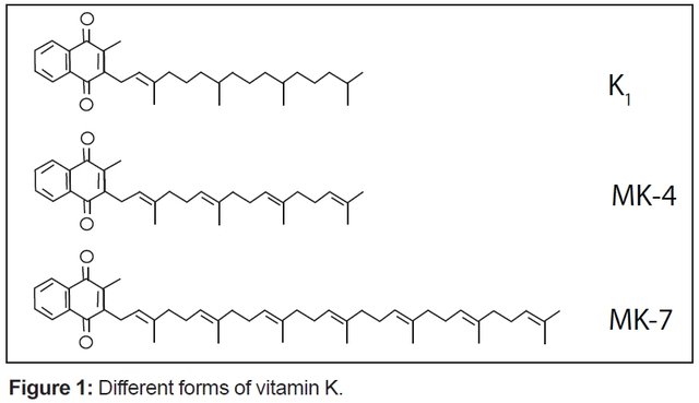 VitConnFig1-3.jpg