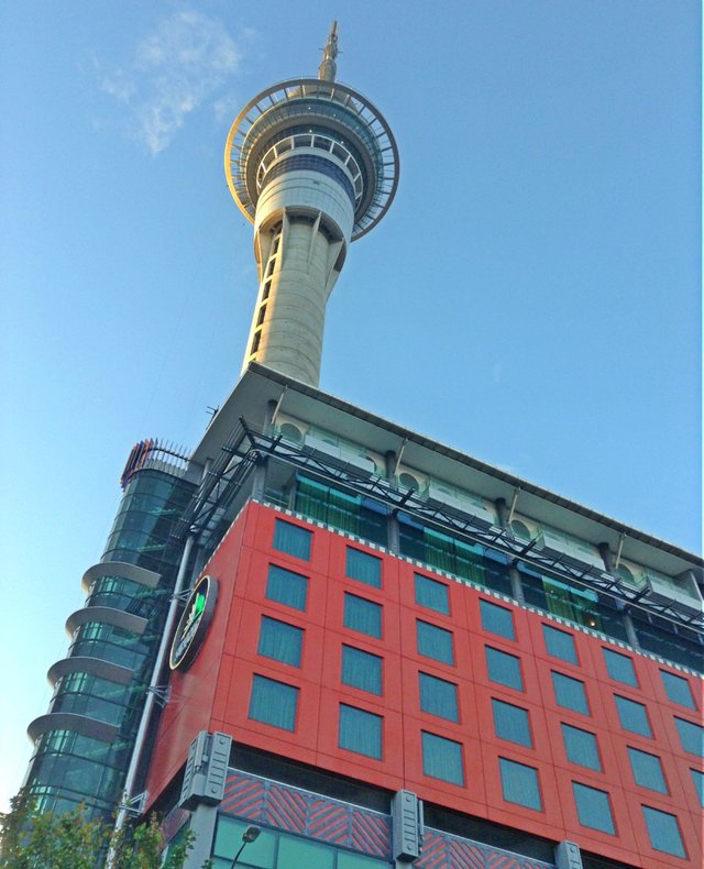 SkyCity Tower.jpg