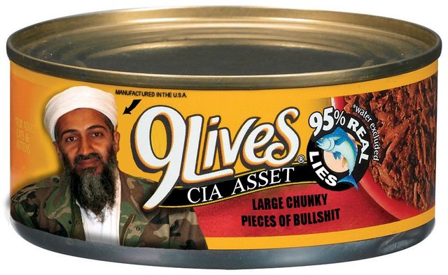 Bin Laden's 9 Lives.jpg